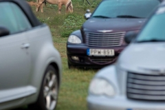 FB_IMG_1535994936318