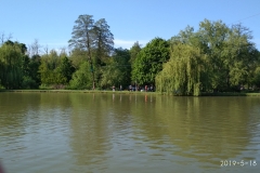 IMG_20190518_165525